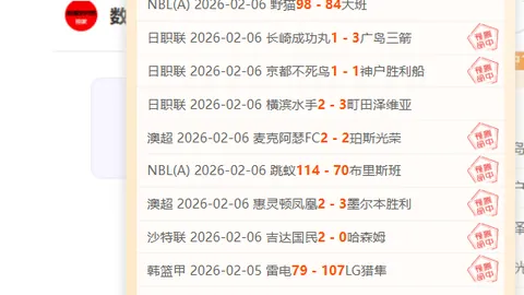埃瓦尔主场优势大乐透期号专家推荐分析