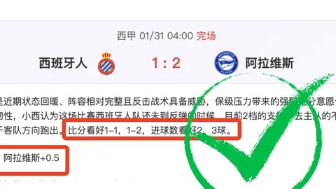 英超纽卡斯尔联4胜3期，专家质合分析前区十码推荐